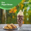 Eco-Craze - 8