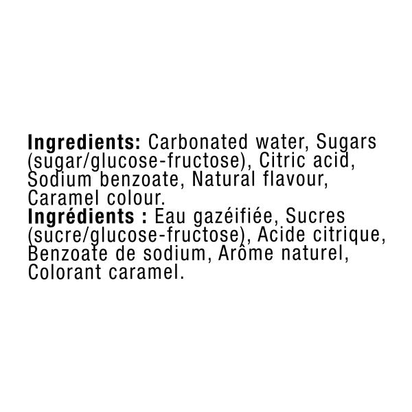 Canada Dry - Ginger Ale - PET