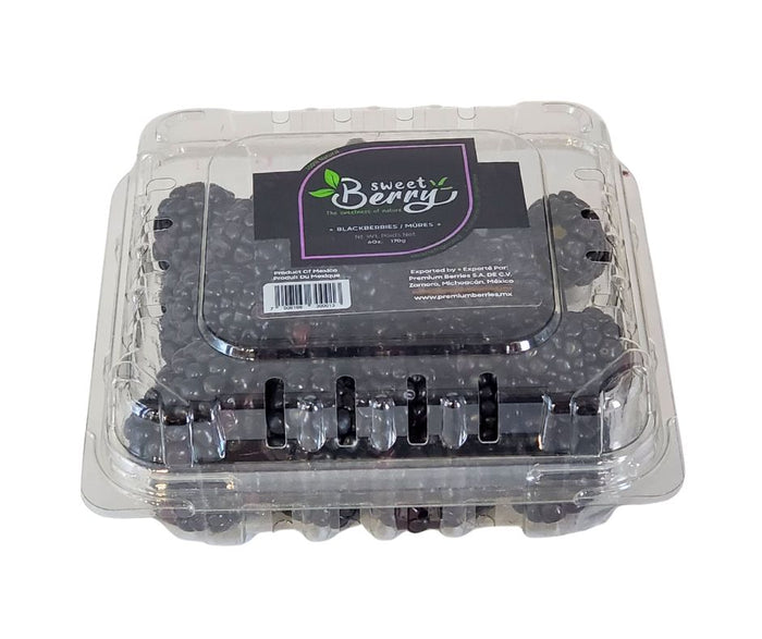 Fresh - Blackberry 12 oz