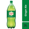 Canada Dry - Ginger Ale - PET