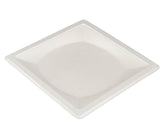 Eco-Craze - 10 Eco-Craze - 10