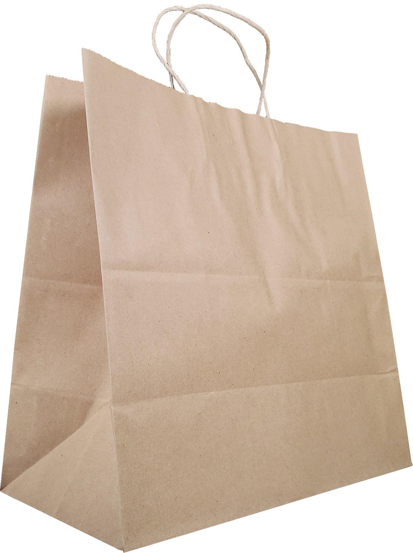 White Kraft Paper Bags, 10x5x13, 100ct 