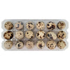 Spring Creek - Quail Eggs