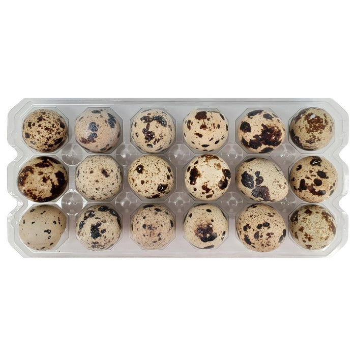 Spring Creek - Quail Eggs