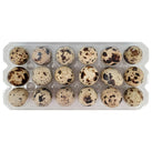 Spring Creek - Quail Eggs Spring Creek - Quail Eggs