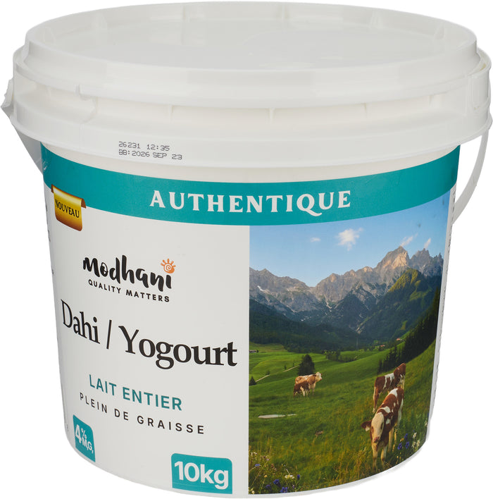 Modhani 4% Whole Milk Dahi Yogurt