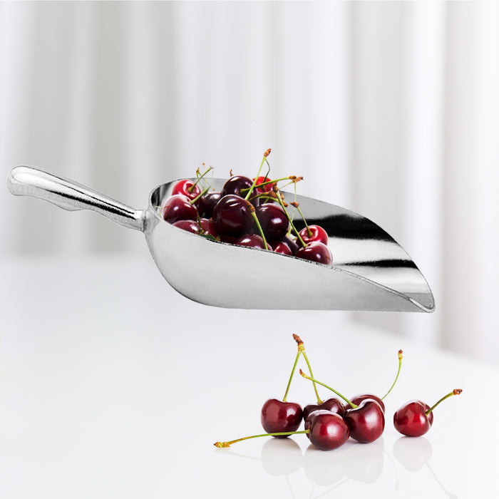 Scoop - Aluminum - 24oz - NSF