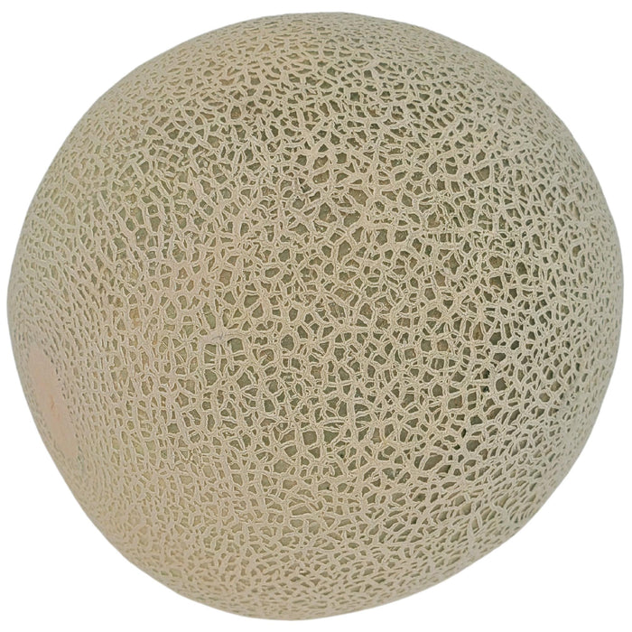 Fresh - Cantalope - Jumbo