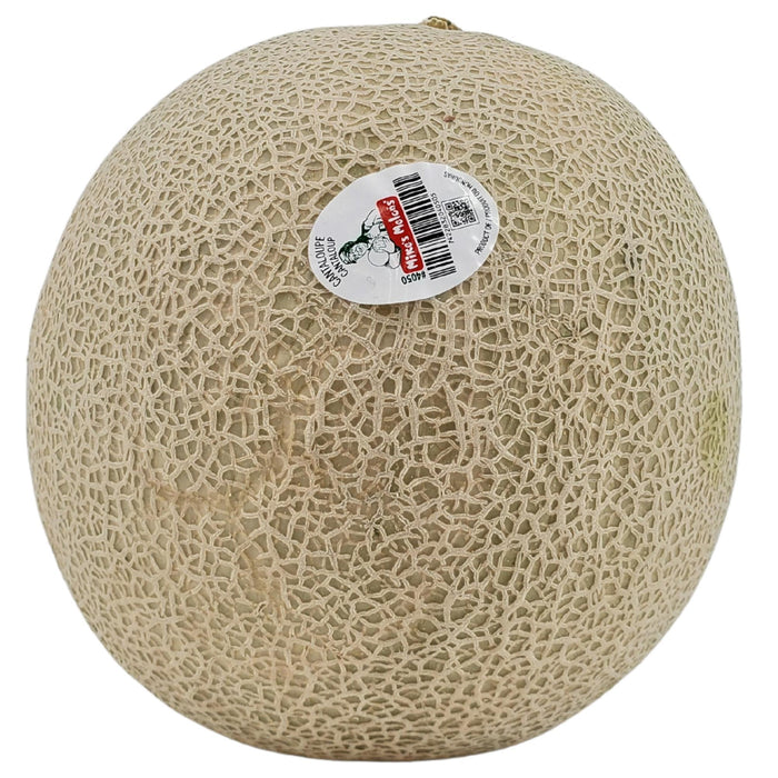 Fresh - Cantalope - Jumbo