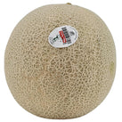 Fresh - Cantalope - Jumbo Fresh - Cantalope - Jumbo
