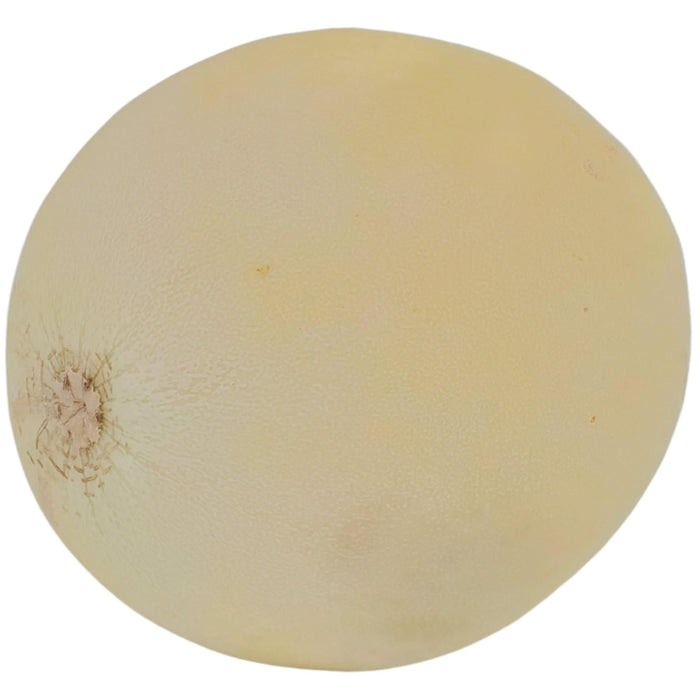 Fresh - Honeydew - Large