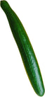 Fresh - Cucumber - English Fresh - Cucumber - English