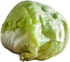 Fresh - Lettuce - Iceberg (Head)