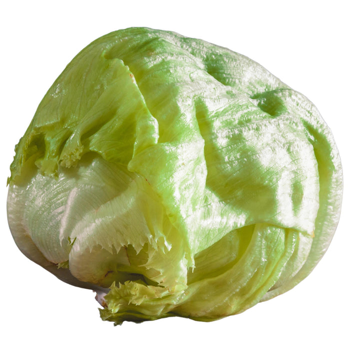 Fresh - Lettuce - Iceberg (Head)