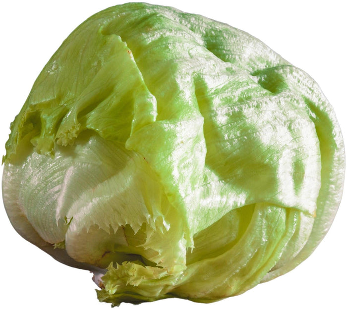Fresh - Lettuce - Iceberg (Head)