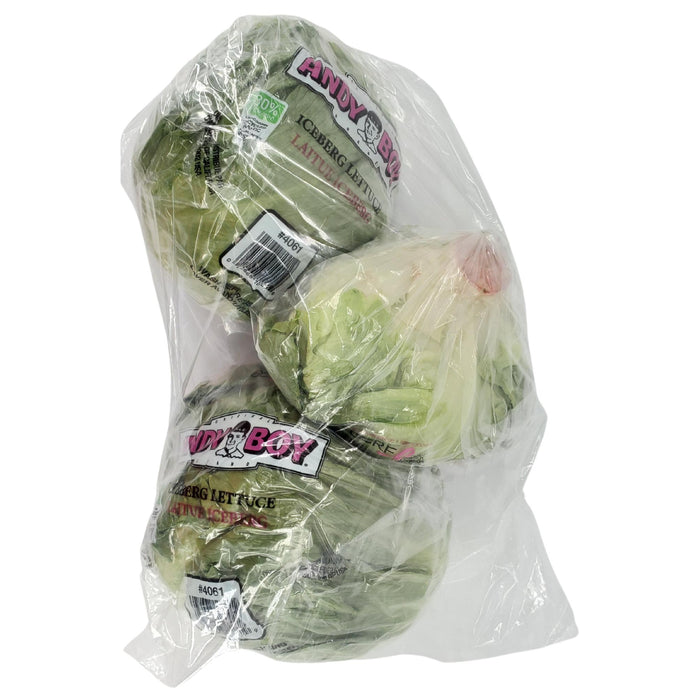 Fresh - Lettuce - Iceberg (Head)