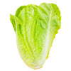 Fresh - Lettuce - Romaine - Hearts