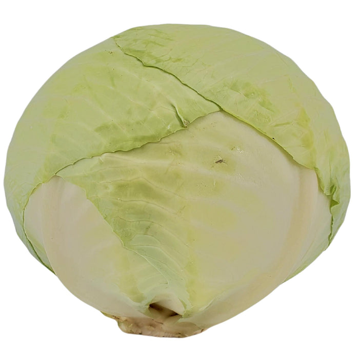 Fresh - Cabbage - Green