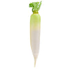 Fresh - Daikon - Loose - Topless