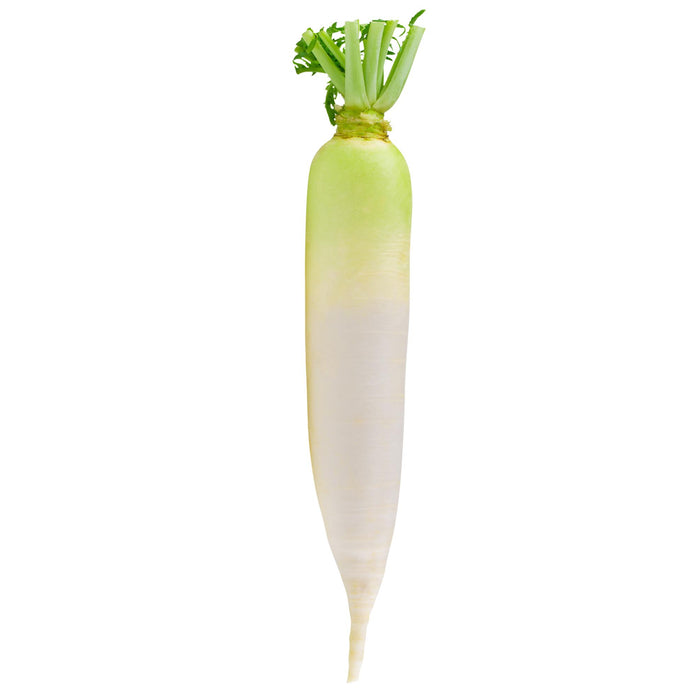Fresh - Daikon - Loose - Topless