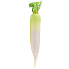 Fresh - Daikon - Loose - Topless Fresh - Daikon - Loose - Topless