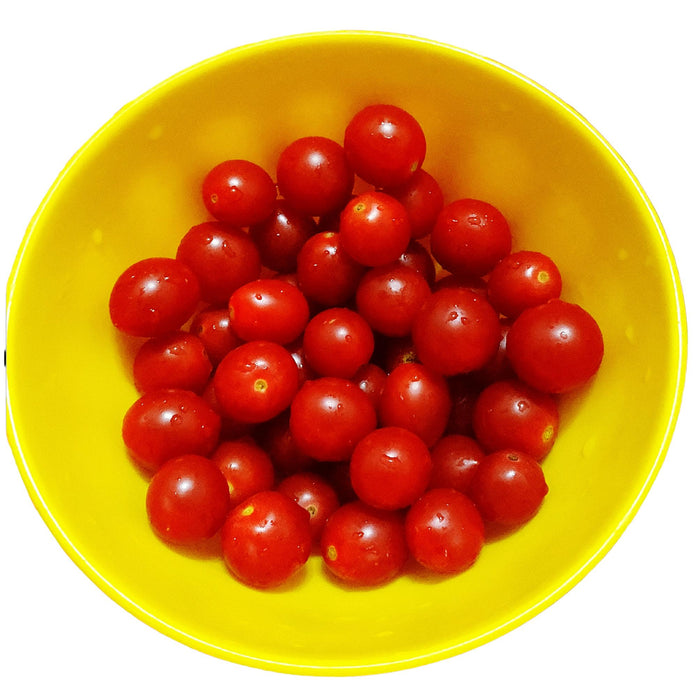 Fresh - Tomato - Grape/Cherry Medley