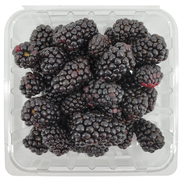 Fresh - Blackberry