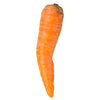 Fresh - Indian Carrot