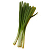 Fresh - Onion - Green