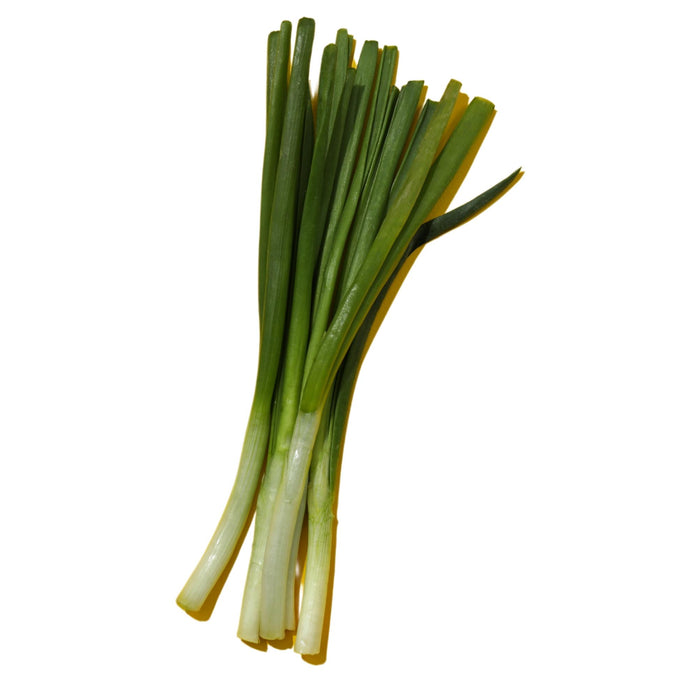 Fresh - Onion - Green