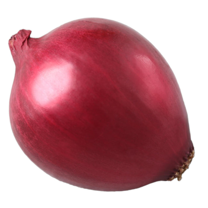 Fresh - Onion - Red