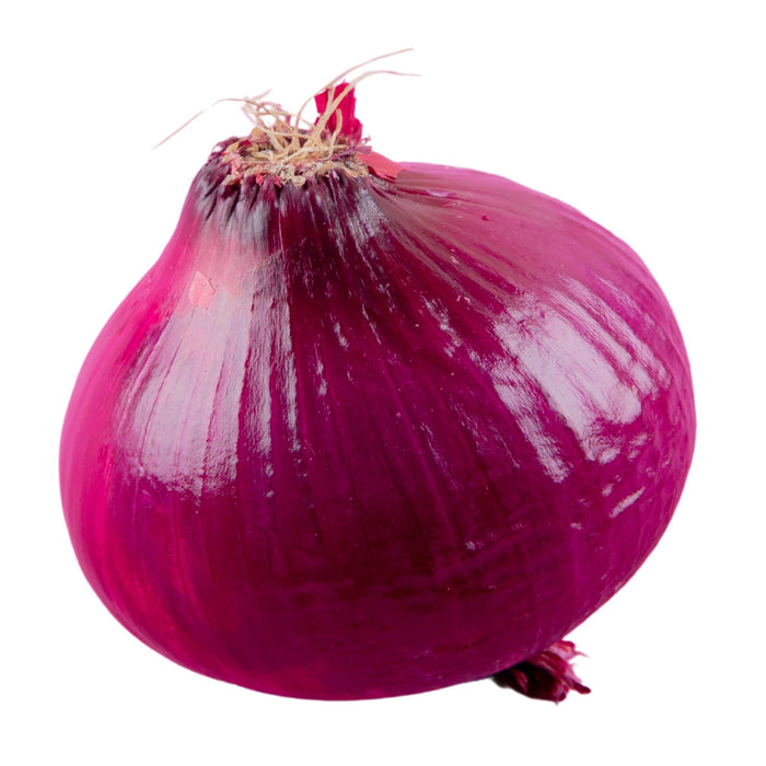 Fresh - Onion - Red