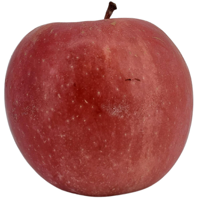 Fresh - Apple - Fuji