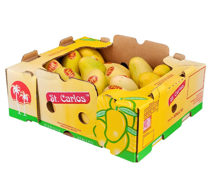 Fresh - Mango Ataulfo - Size 16
