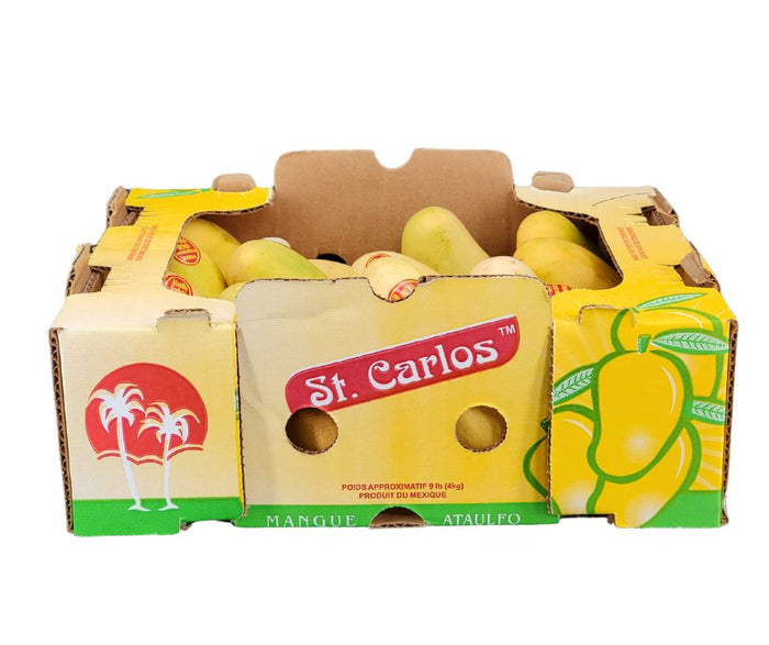 Fresh - Mango Ataulfo - Size 16