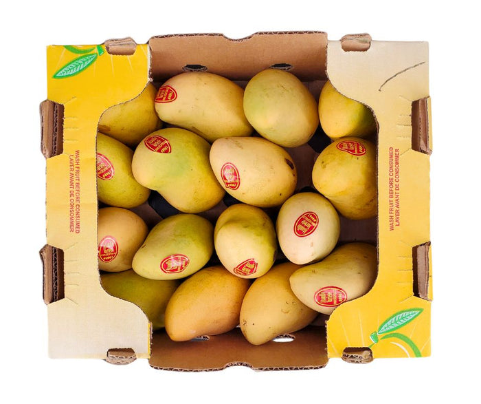 Fresh - Mango Ataulfo - Size 16