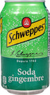 Schweppes - Ginger Ale - Cans Schweppes - Ginger Ale - Cans