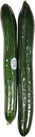 Fresh - Cucumber - English Fresh - Cucumber - English