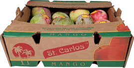 Fresh - Haden/Keitt/Kent/Tommy Mango Size 12 Fresh - Haden/Keitt/Kent/Tommy Mango Size 12