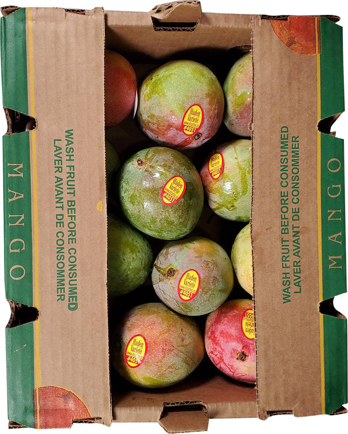 XXX - Fresh - Haden/Keitt/Kent/Tommy Mango Size 12
