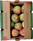 Fresh - Haden/Keitt/Kent/Tommy Mango Size 12 Fresh - Haden/Keitt/Kent/Tommy Mango Size 12