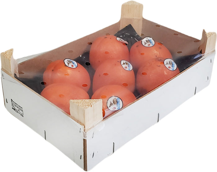 Fresh - Persimmon - (Size 18)