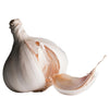 Fresh - Garlic - Whole