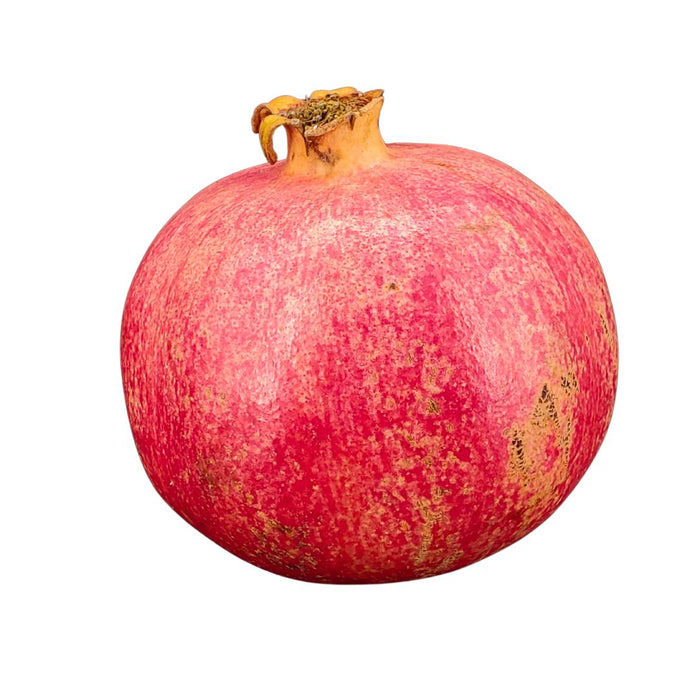 Fresh - Pomegranate - Size 8