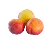 Fresh - Nectarines - PrNec2 Fresh - Nectarines - PrNec2