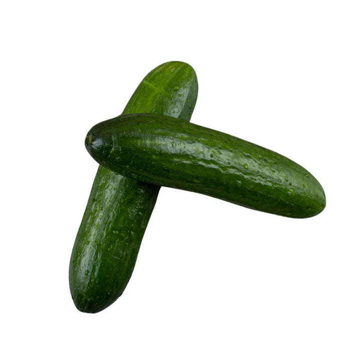 Mini Cucumber