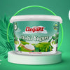 Elegant - Dahi Yogurt 3.25%