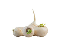 Fresh - Turnips - Loose Fresh - Turnips - Loose
