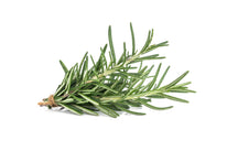 Fresh - Rosemary Fresh - Rosemary