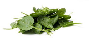 Shana - Spinach